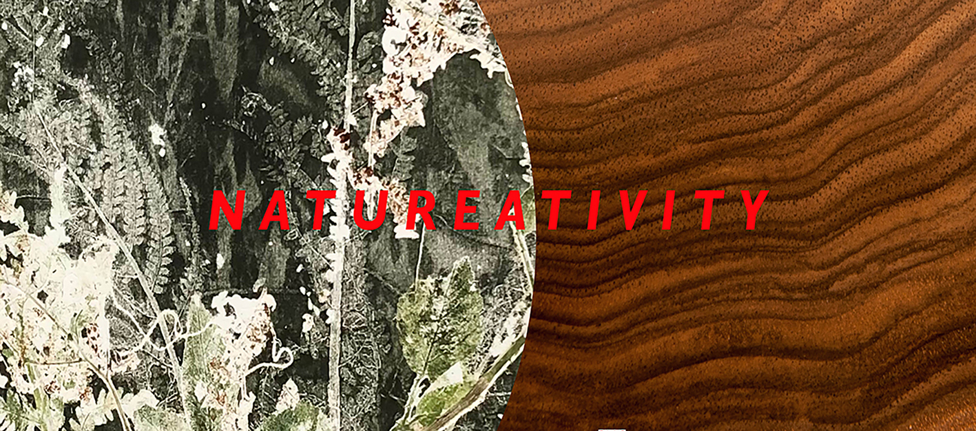 Expositie 'Natureativity' in Galerie LUCIA NOVALIS