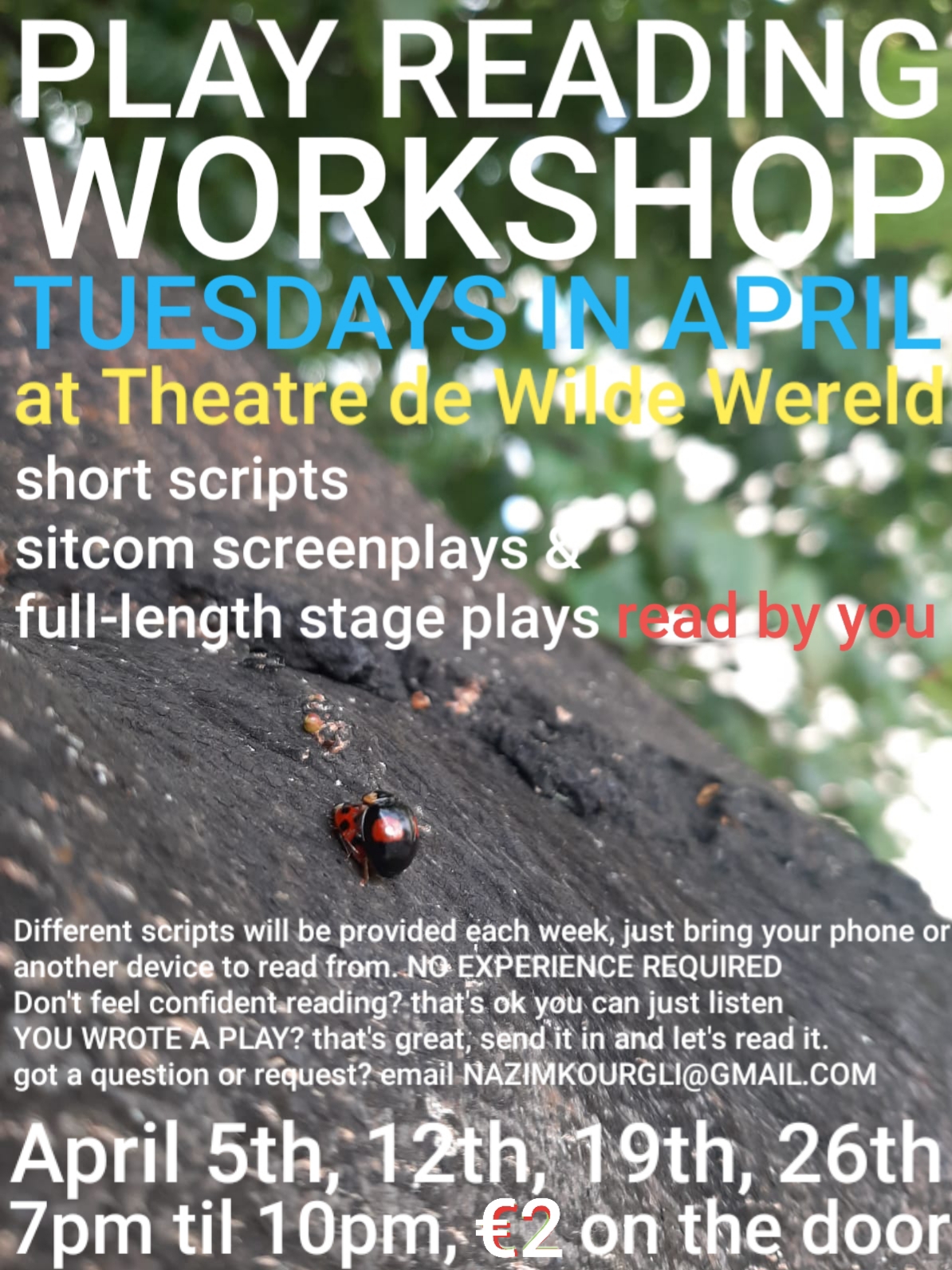 Play Reading workshops at theatre de Wilde wereld